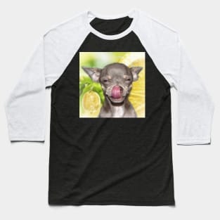 Chihuahua Cheeky Funny Summer Yellow Lemon Chi art Baseball T-Shirt